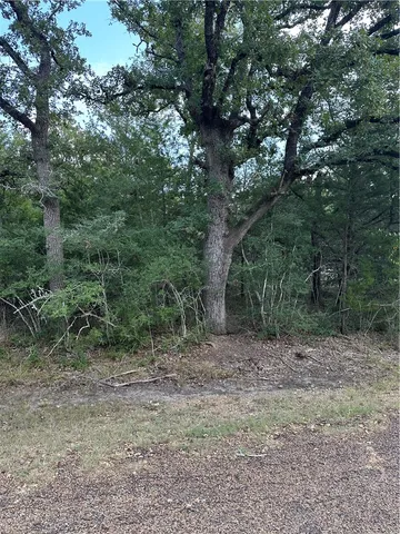 a view of a yard with a tree