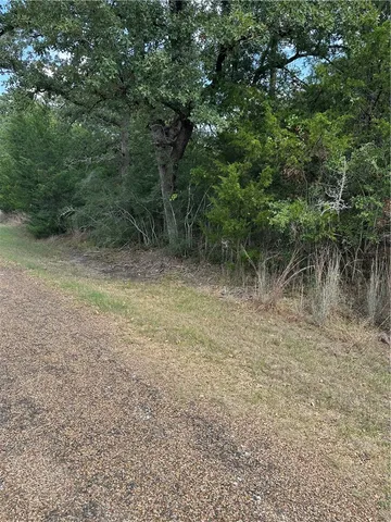 a view of a forest with trees in the background