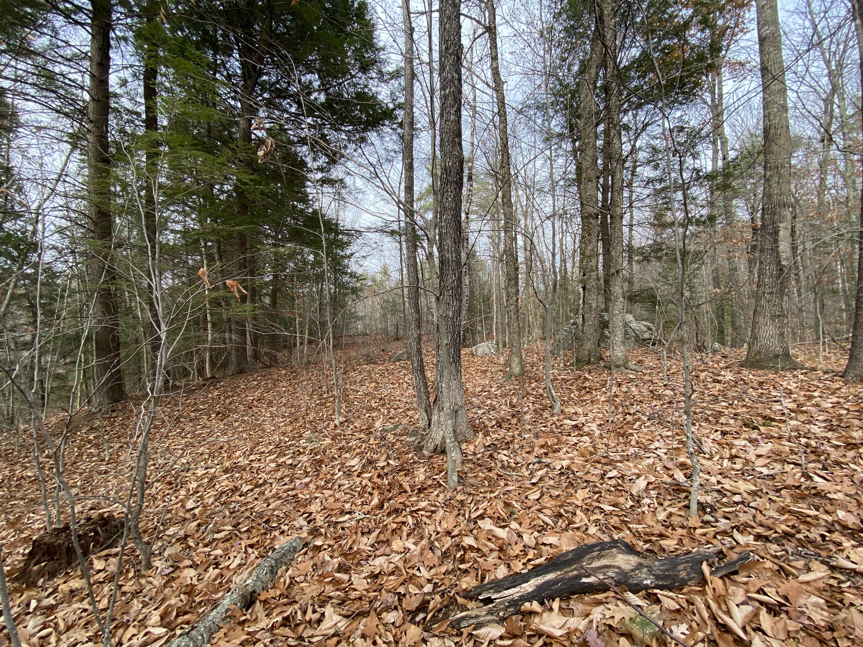 0 Libby Road, Unit LOT #1 West Newfield, ME 04095 - Photo 9 of 14 IMG_0716