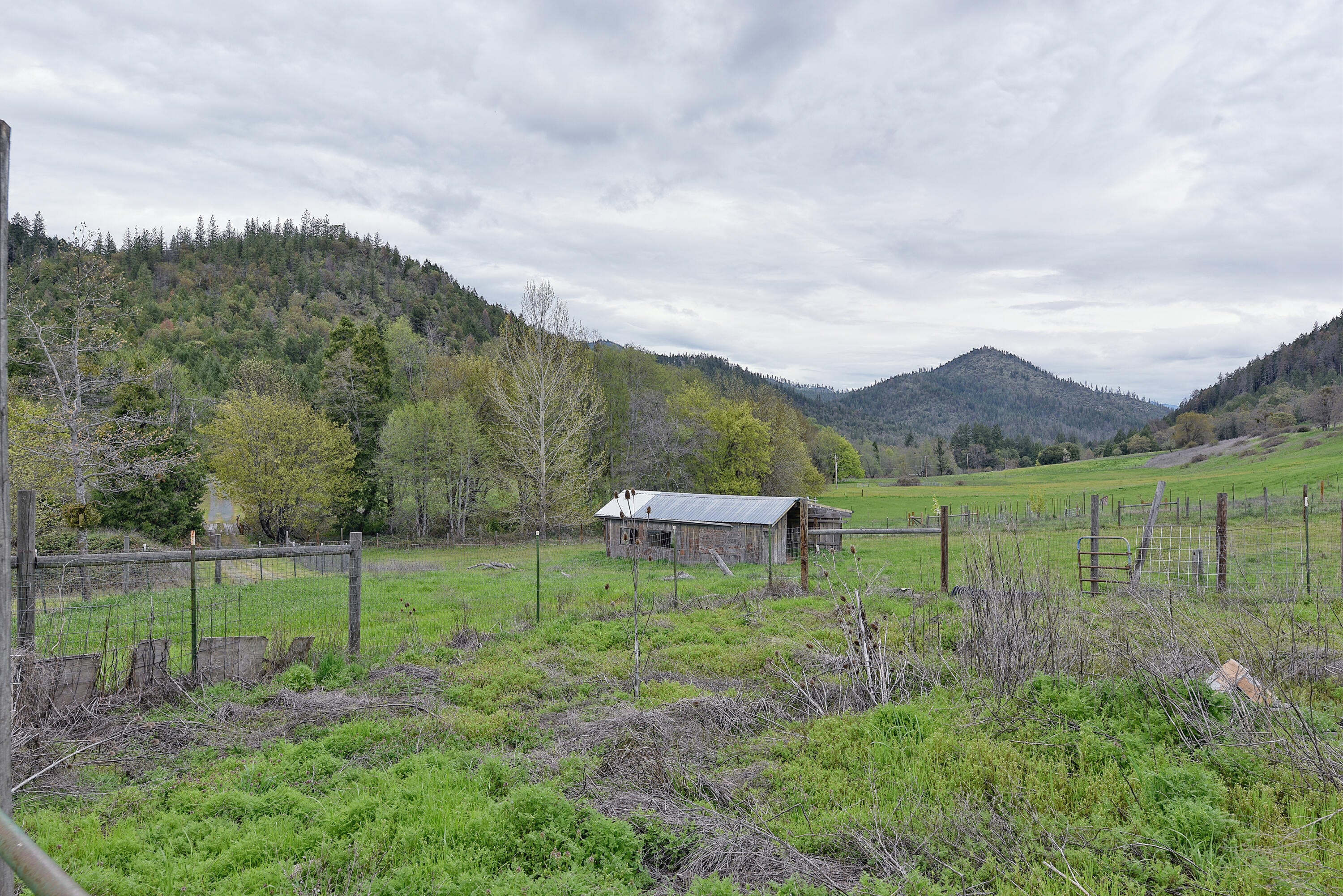 6285 Thompson Creek Road Jacksonville, OR 97530 - Photo 33 of 38 34