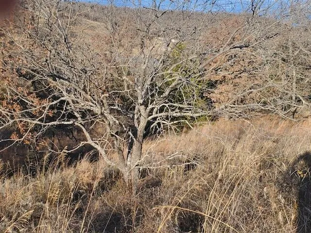 $37,500 | 0 Creekside Drive, Bowie, TX 76230