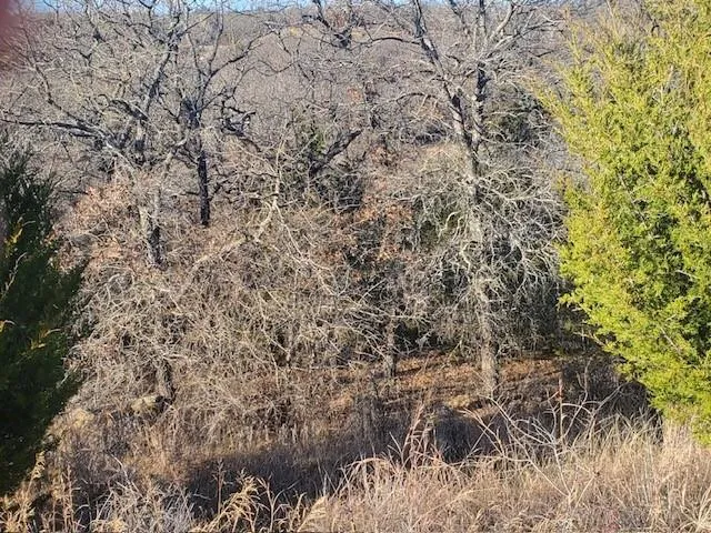 $37,500 | 0 Creekside Drive, Bowie, TX 76230