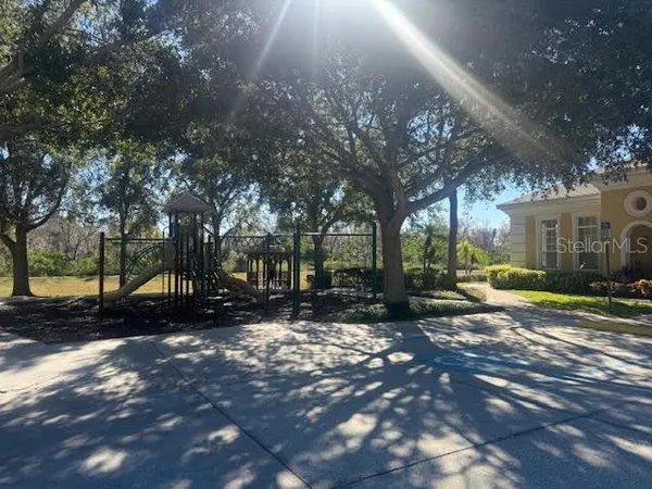 a view of a tree in the middle of a yard