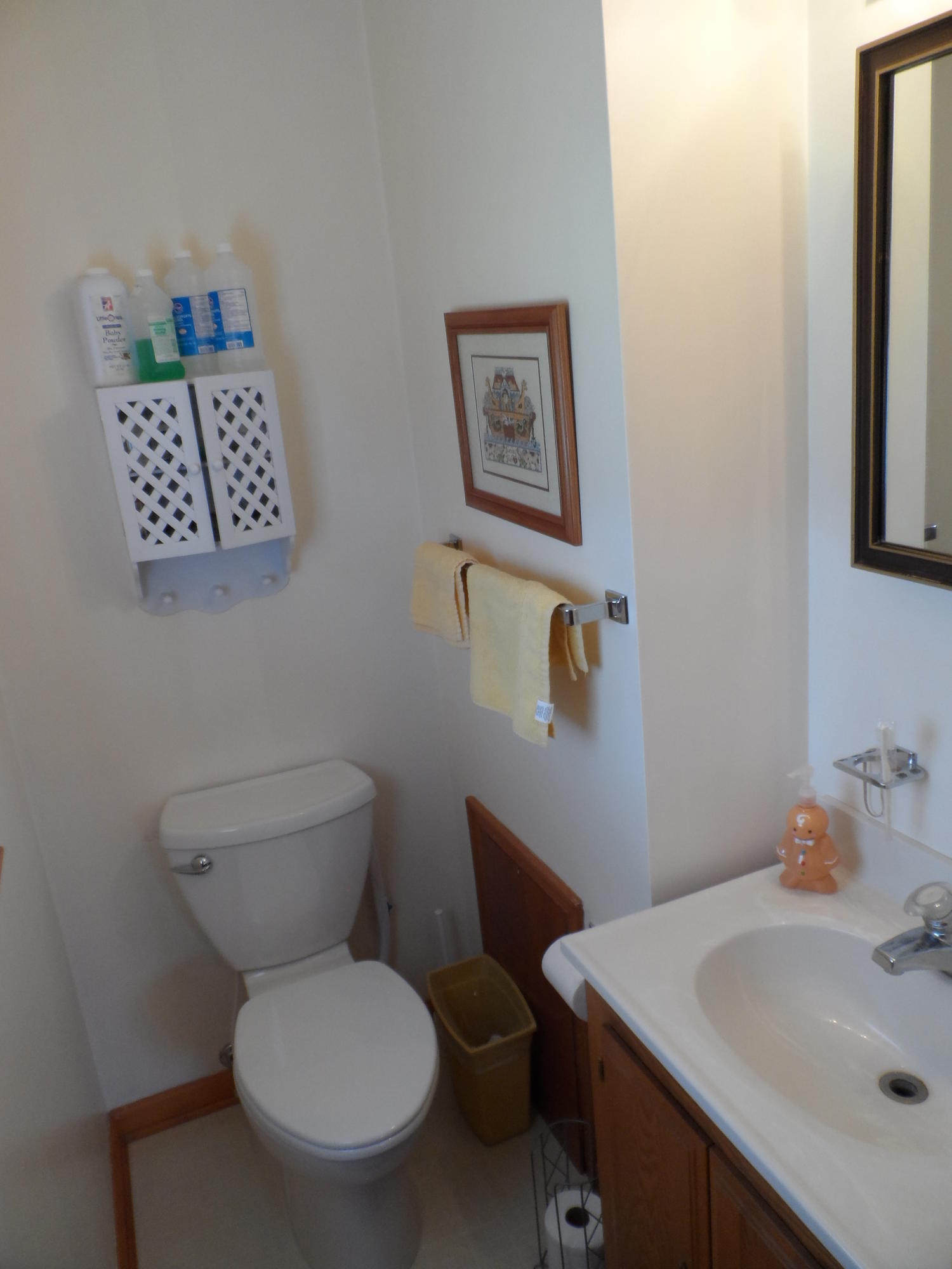 206 Old Brook Road Vinton, VA 24179 - Photo 16 of 24 master bath