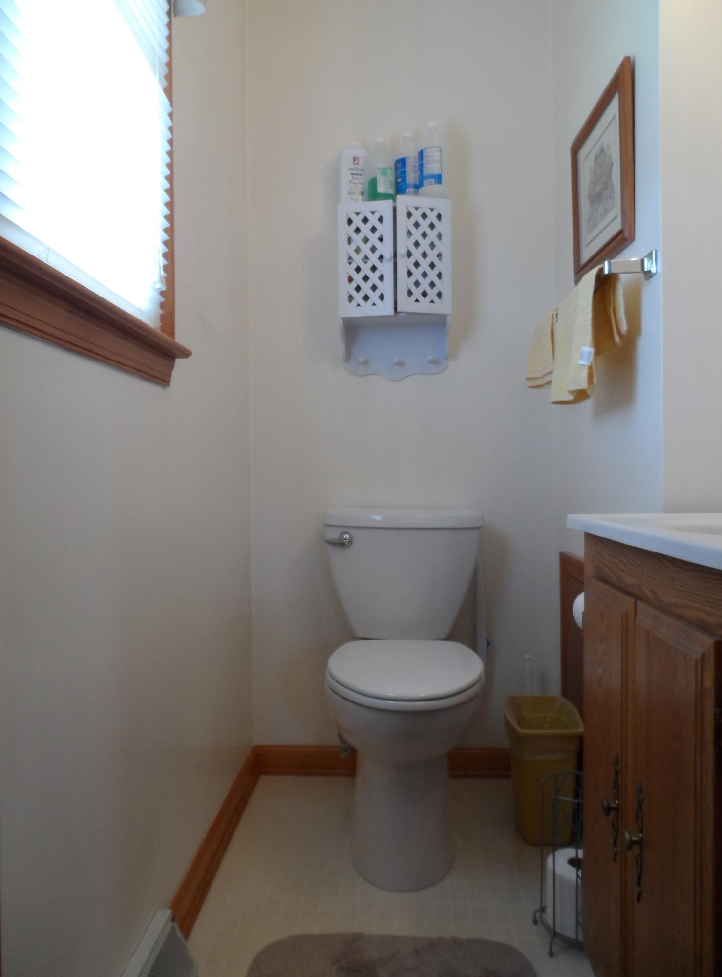 206 Old Brook Road Vinton, VA 24179 - Photo 17 of 24 master bath (2)