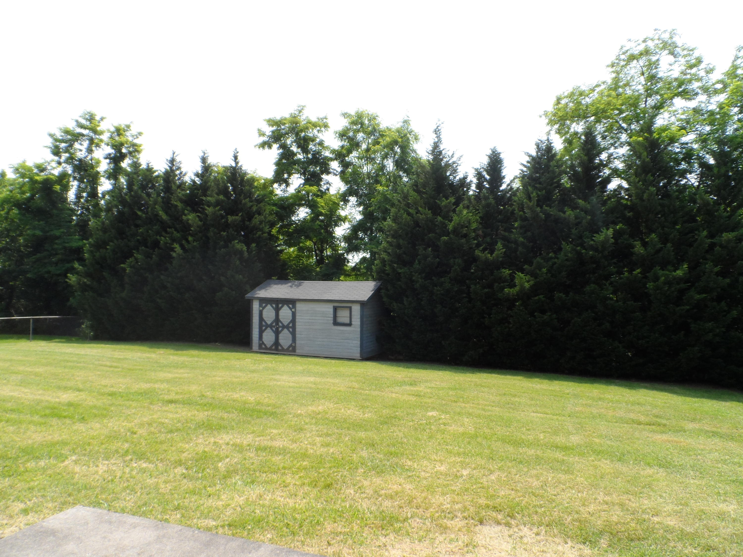 206 Old Brook Road Vinton, VA 24179 - Photo 21 of 24 backyard