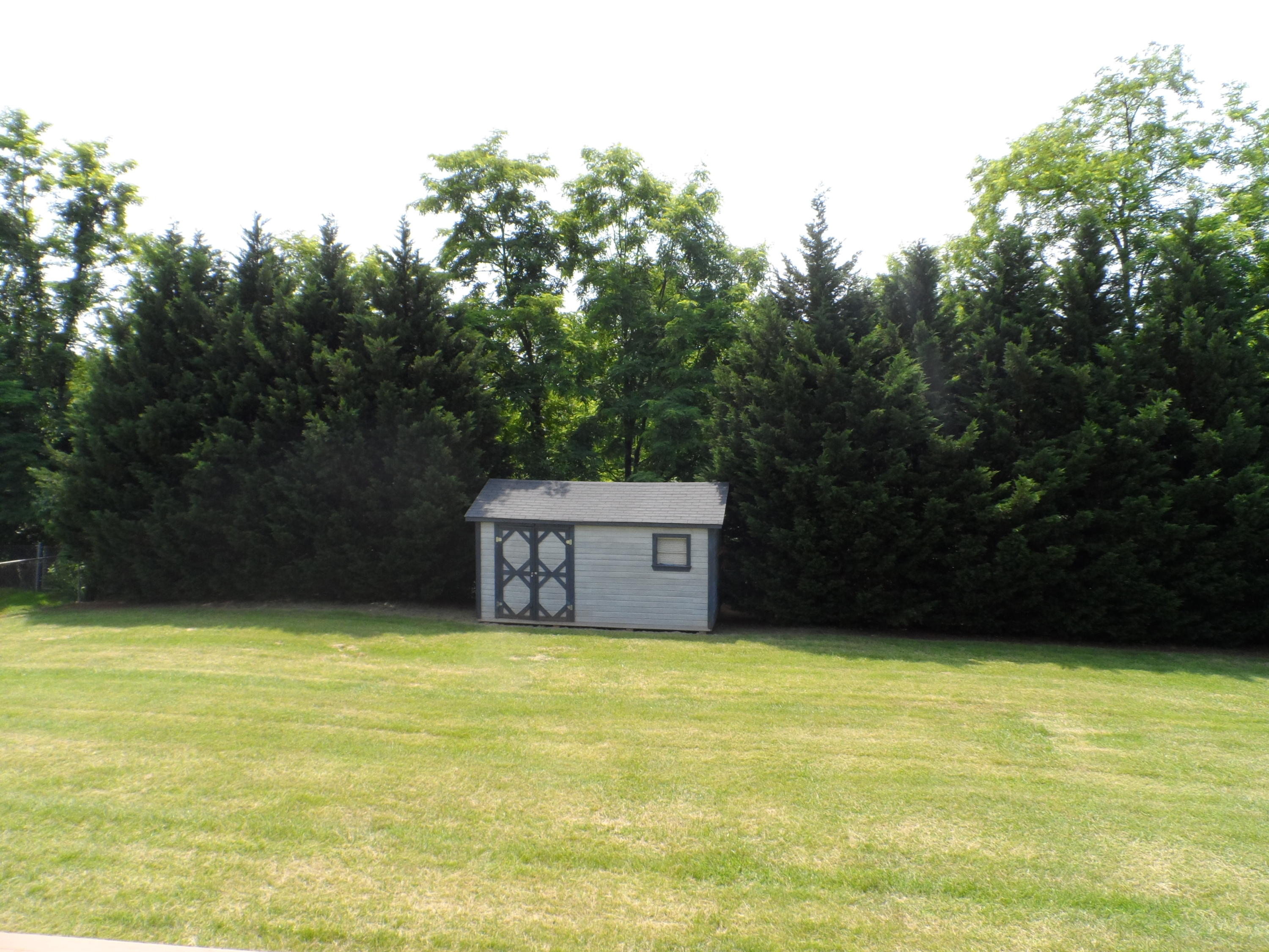 206 Old Brook Road Vinton, VA 24179 - Photo 22 of 24 back yard