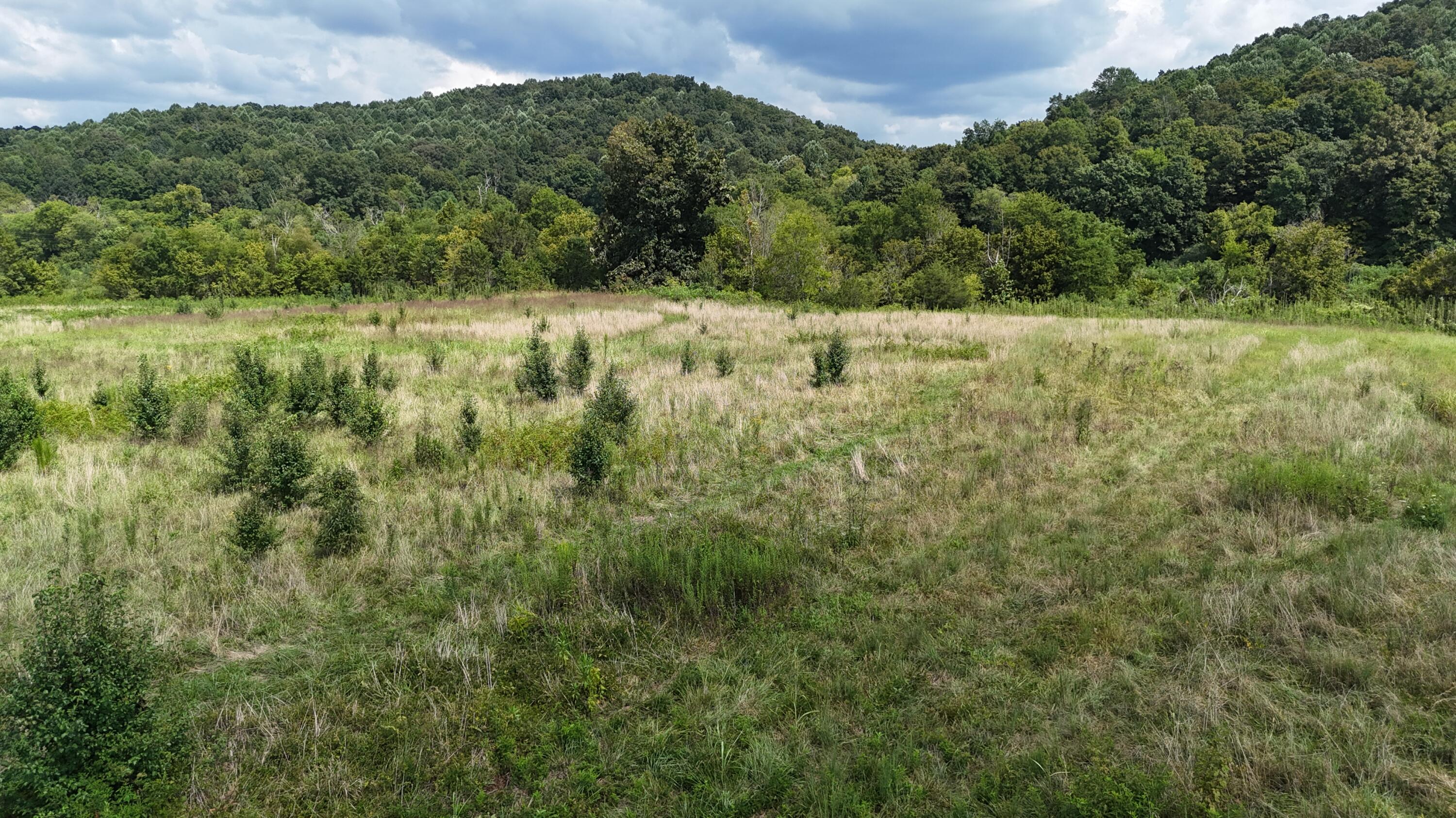 0 County Road 60 Athens, TN 37303 - Photo 1 of 40 Main
