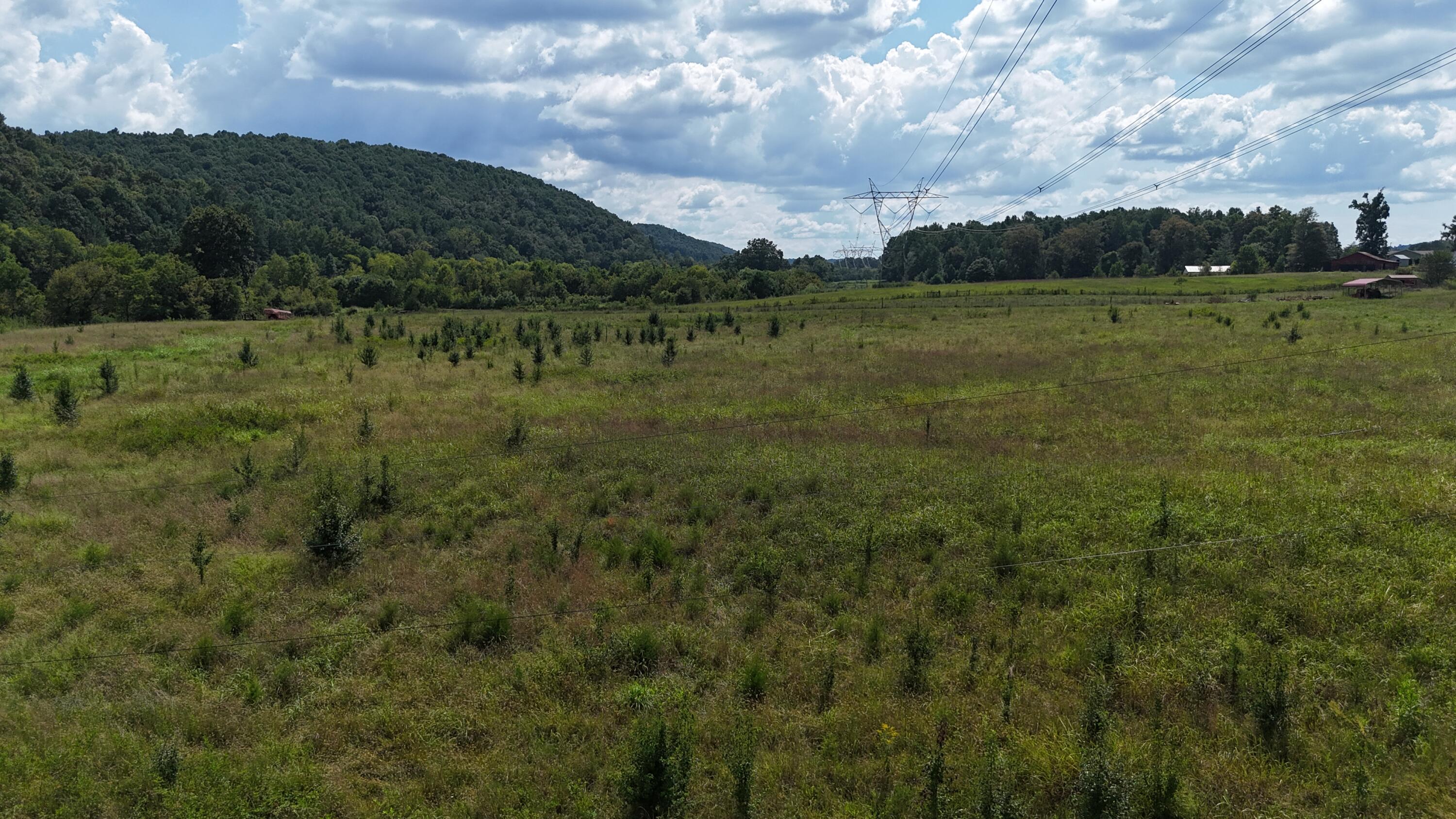 0 County Road 60 Athens, TN 37303 - Photo 12 of 40 dji_fly_20250822_152726_0887_17558986208