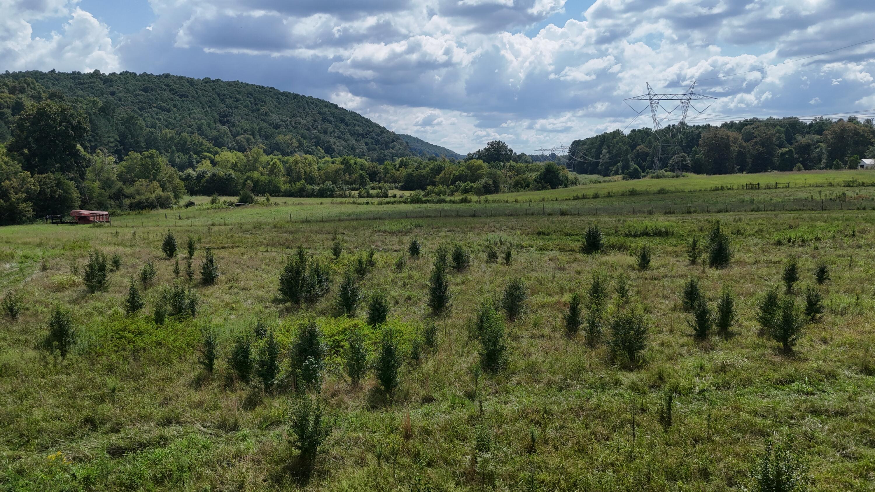 0 County Road 60 Athens, TN 37303 - Photo 15 of 40 dji_fly_20250822_152740_0888_17558986196