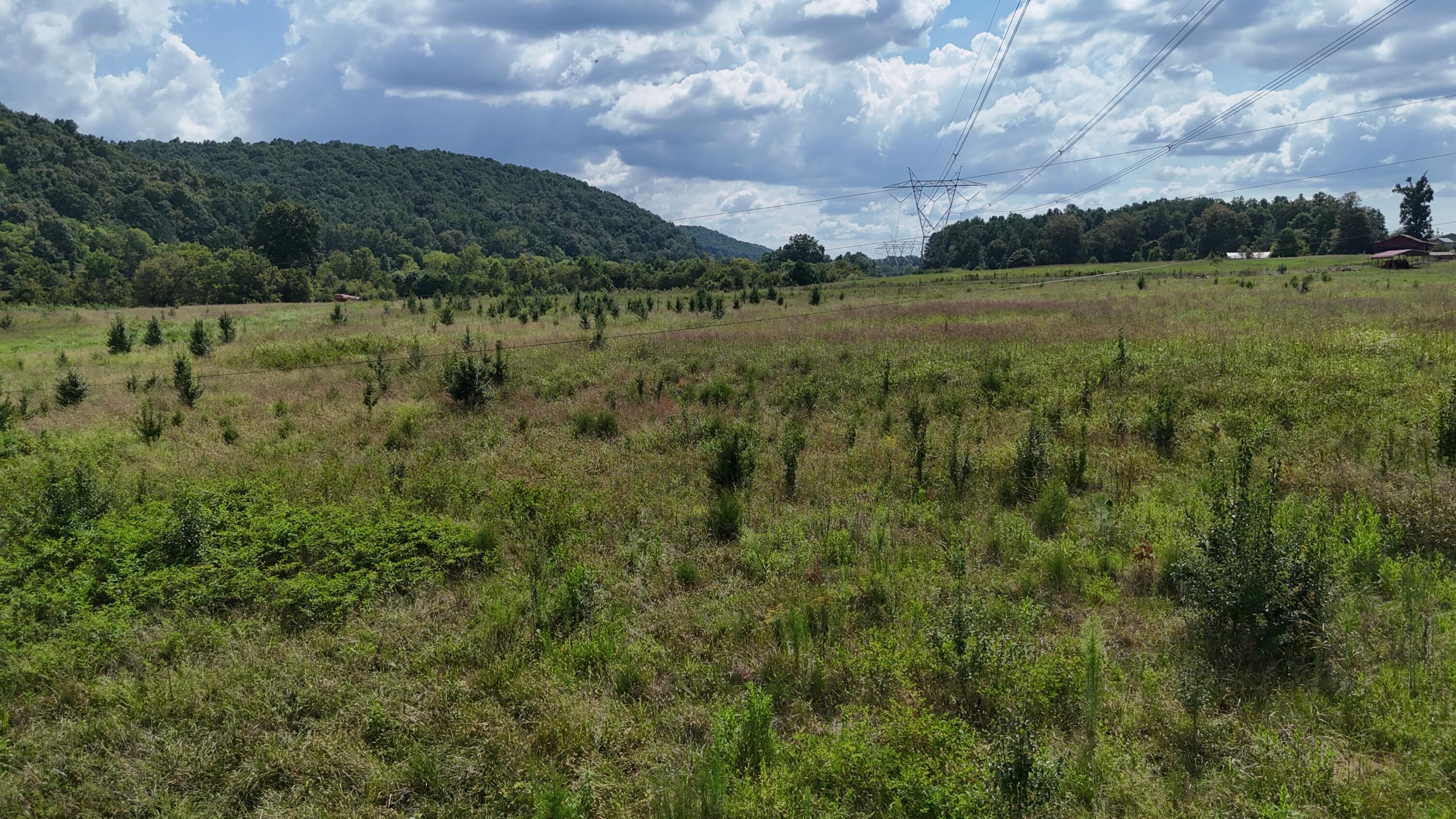 0 County Road 60 Athens, TN 37303 - Photo 19 of 40 dji_fly_20250822_152700_0886_17558986215