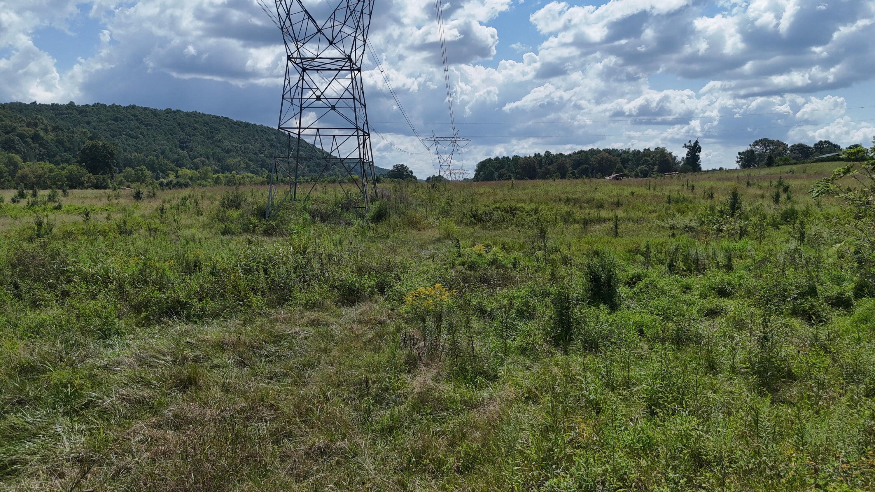 0 County Road 60 Athens, TN 37303 - Photo 20 of 40 dji_fly_20250822_152628_0885_17558986222