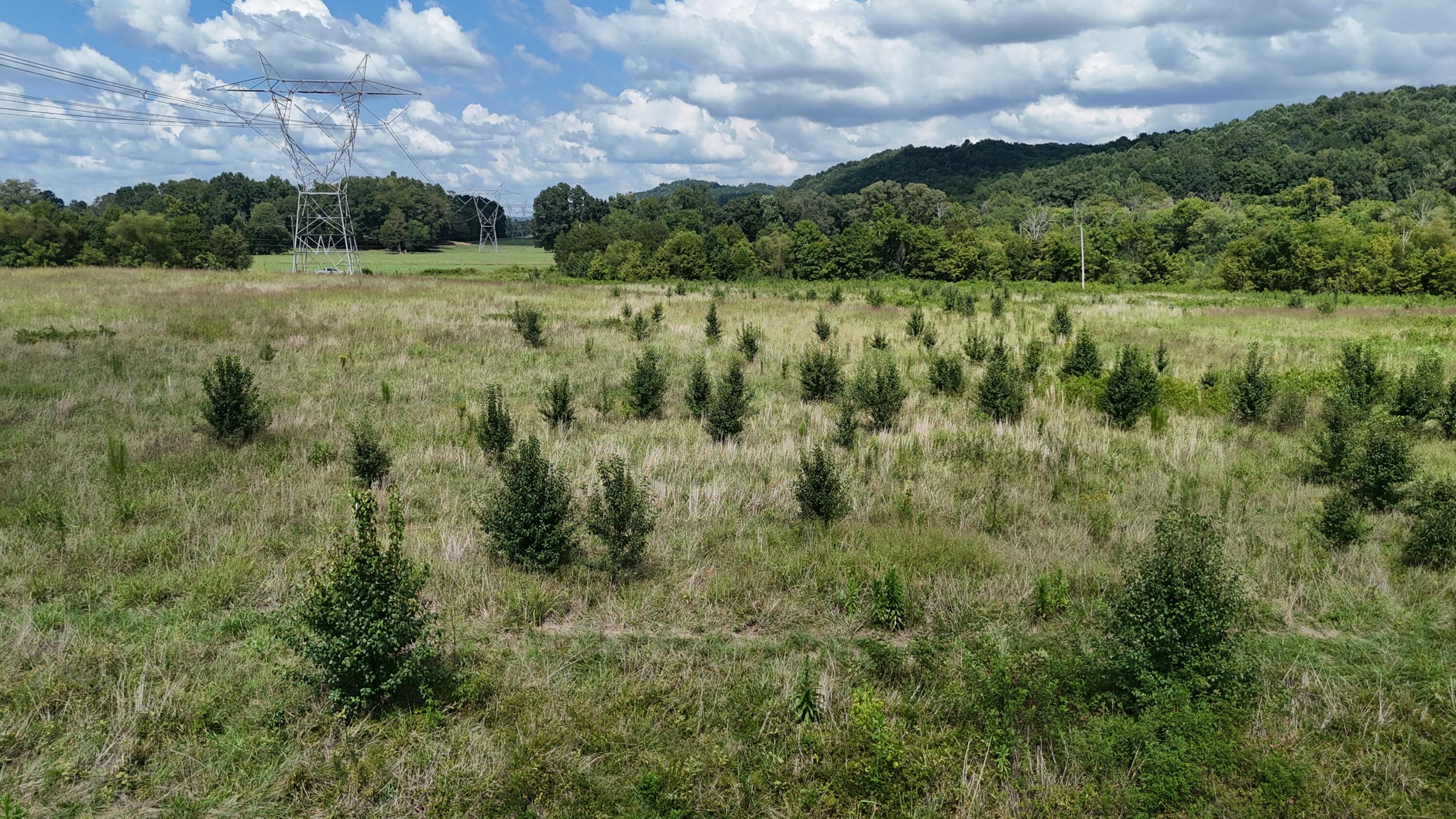 0 County Road 60 Athens, TN 37303 - Photo 25 of 40 dji_fly_20250822_152804_0890_17558986177