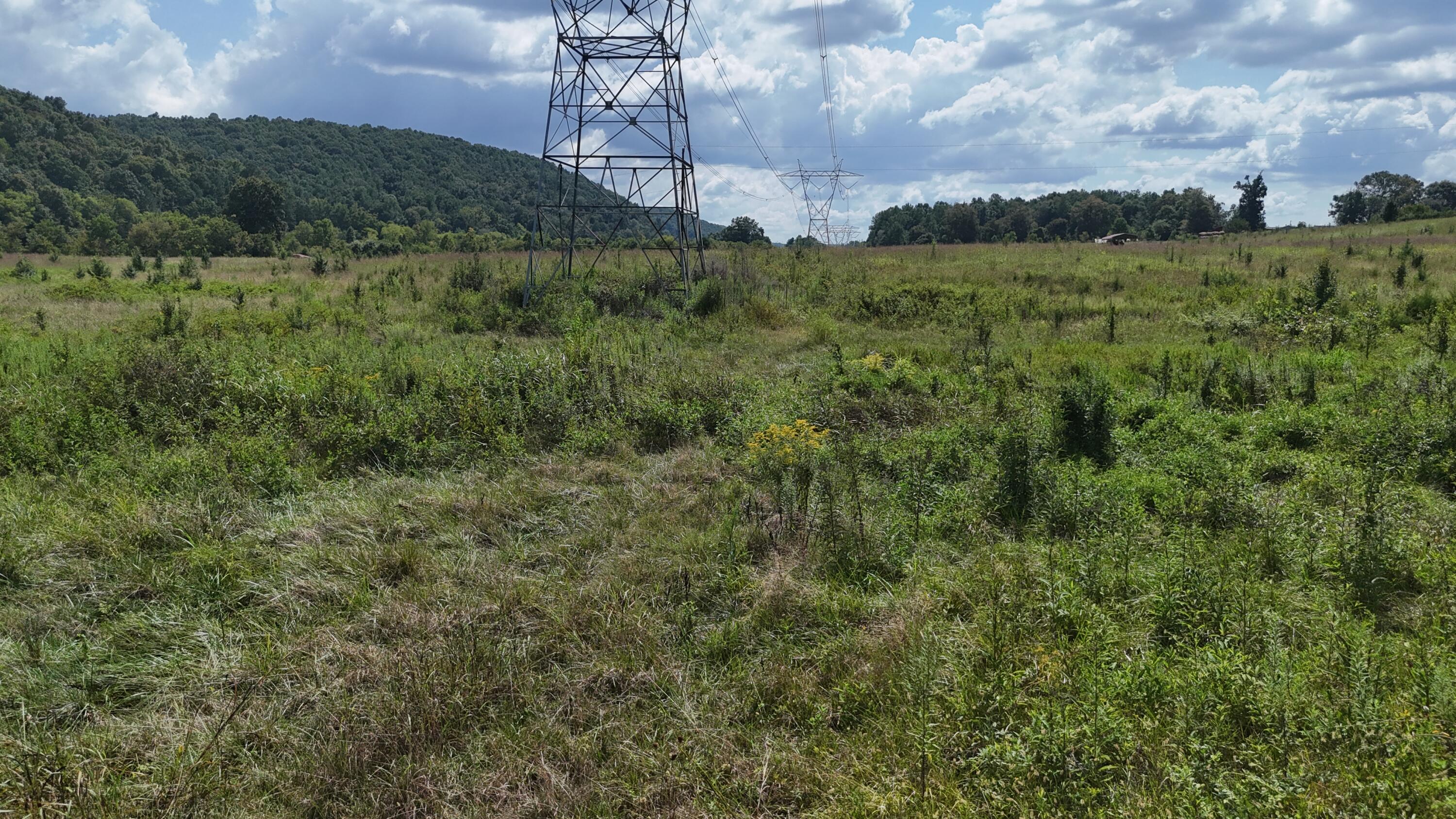0 County Road 60 Athens, TN 37303 - Photo 28 of 40 dji_fly_20250822_152626_0884_17558986228