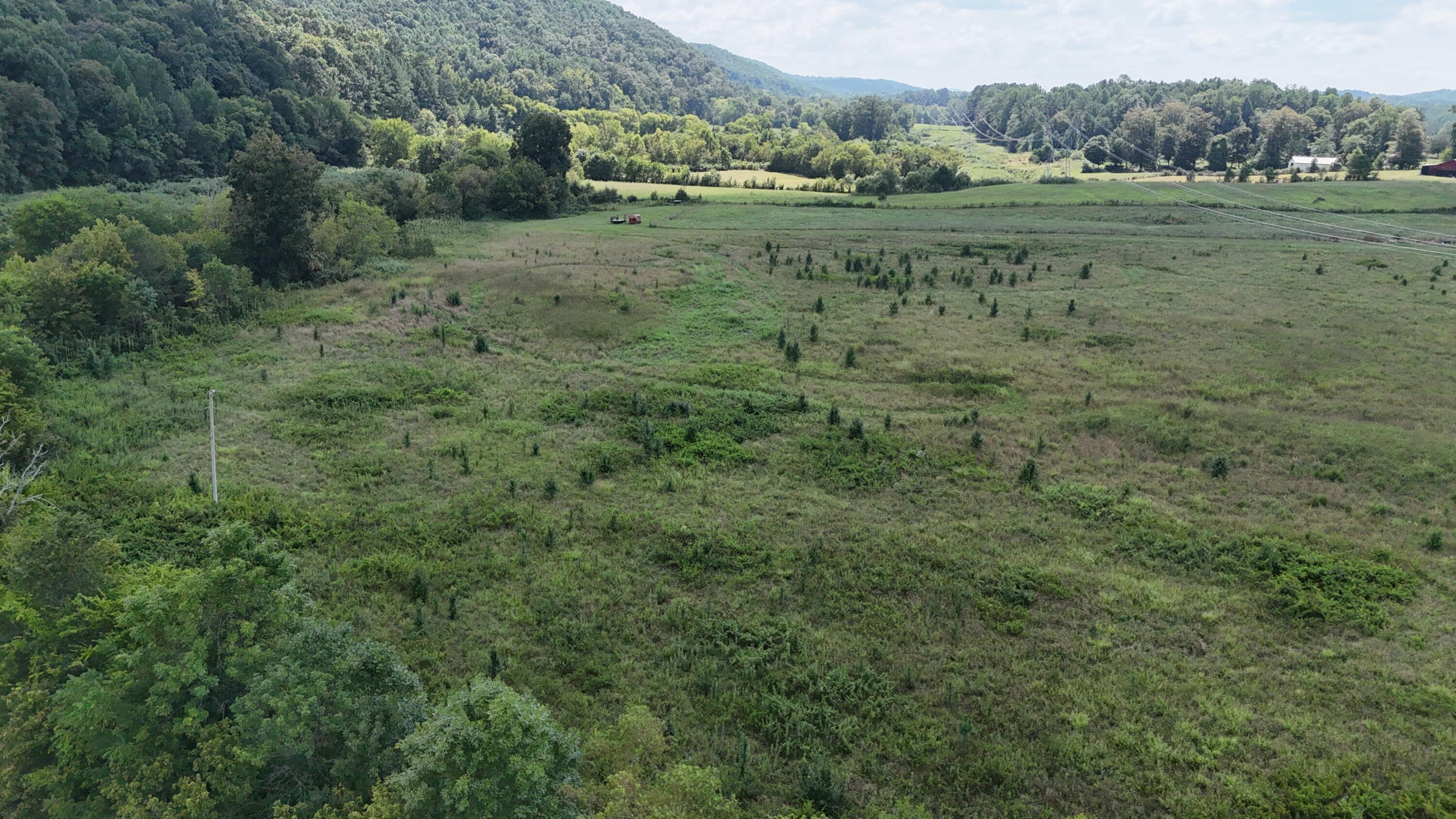 0 County Road 60 Athens, TN 37303 - Photo 3 of 40 dji_fly_20250822_152058_0864_17558986413