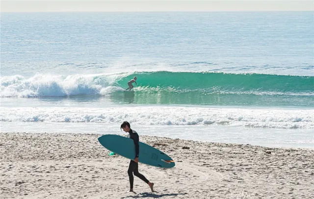 a group of people sitting in a backyard
