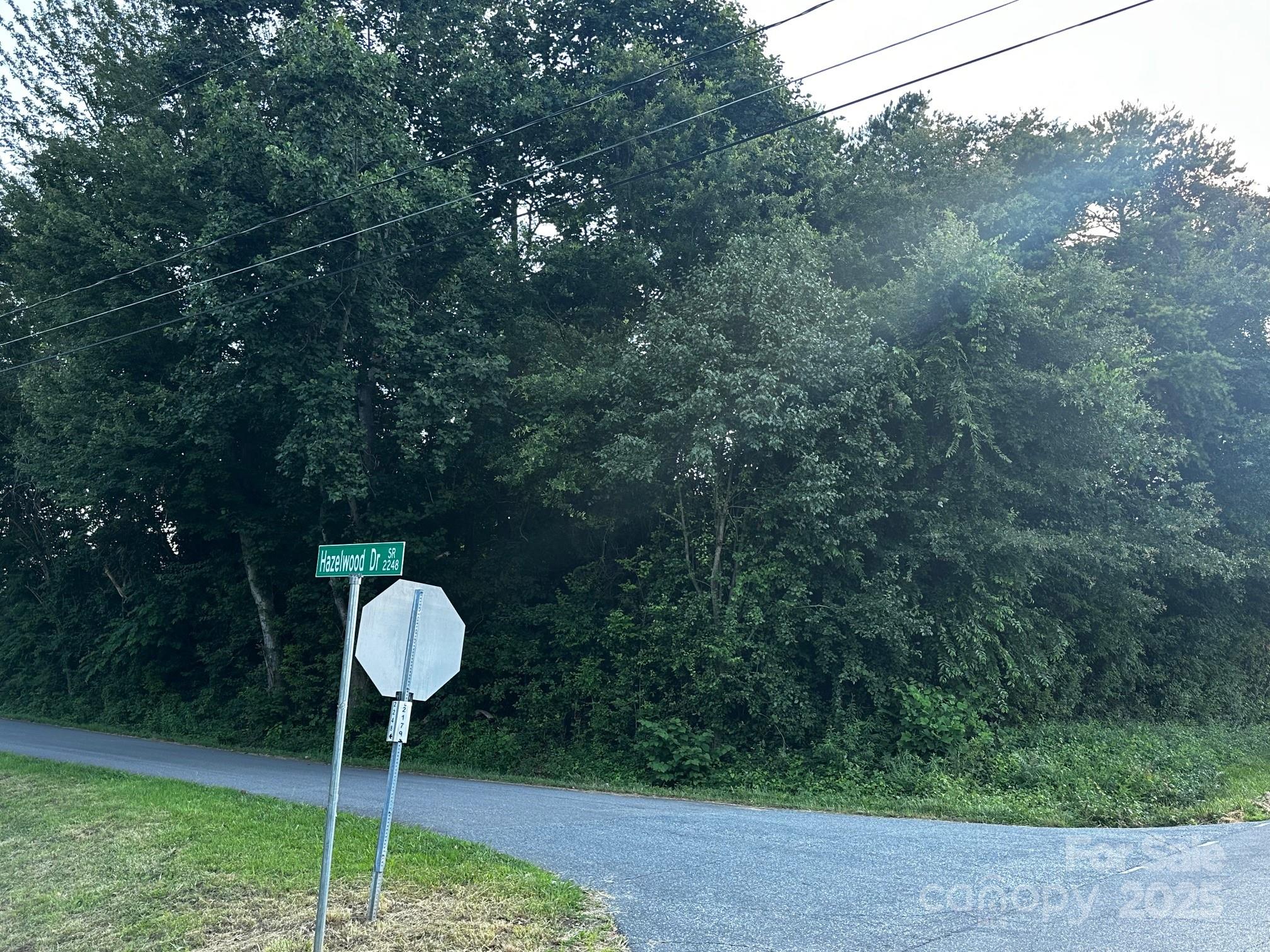 0 Butler Road Forest City, NC 28043 - Photo 3 of 6