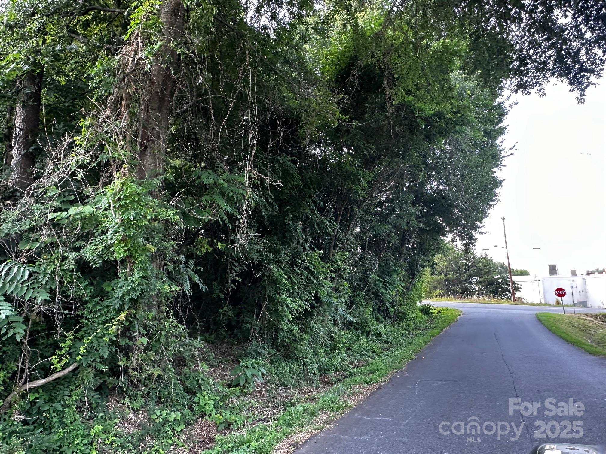 0 Butler Road Forest City, NC 28043 - Photo 4 of 6 a view of street view with outdoor space