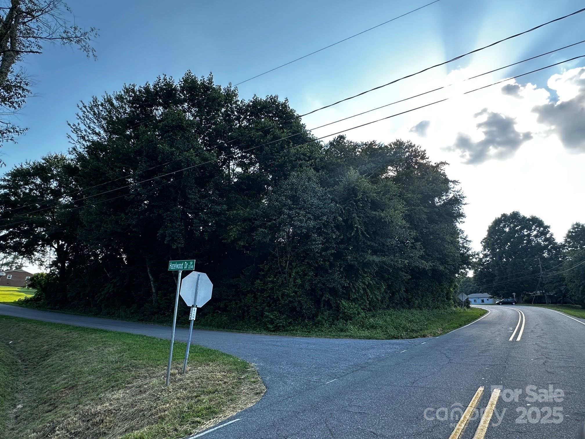 0 Butler Road Forest City, NC 28043 - Photo 5 of 6 a view of a park
