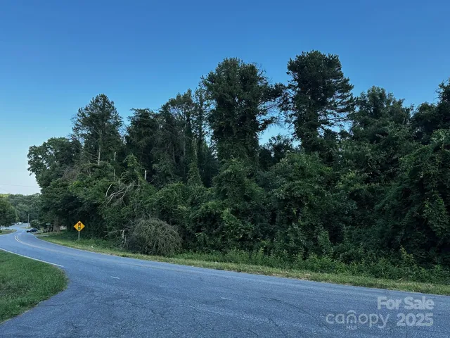 $60,000 | 0 Butler Road, Forest City, NC 28043