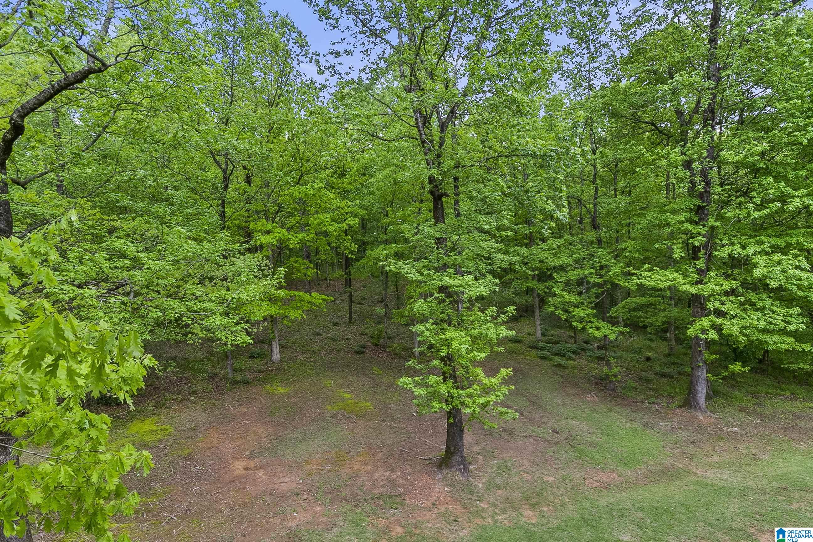 3531 Windy Ridge Tuscaloosa, AL 35406 - Photo 57 of 60
