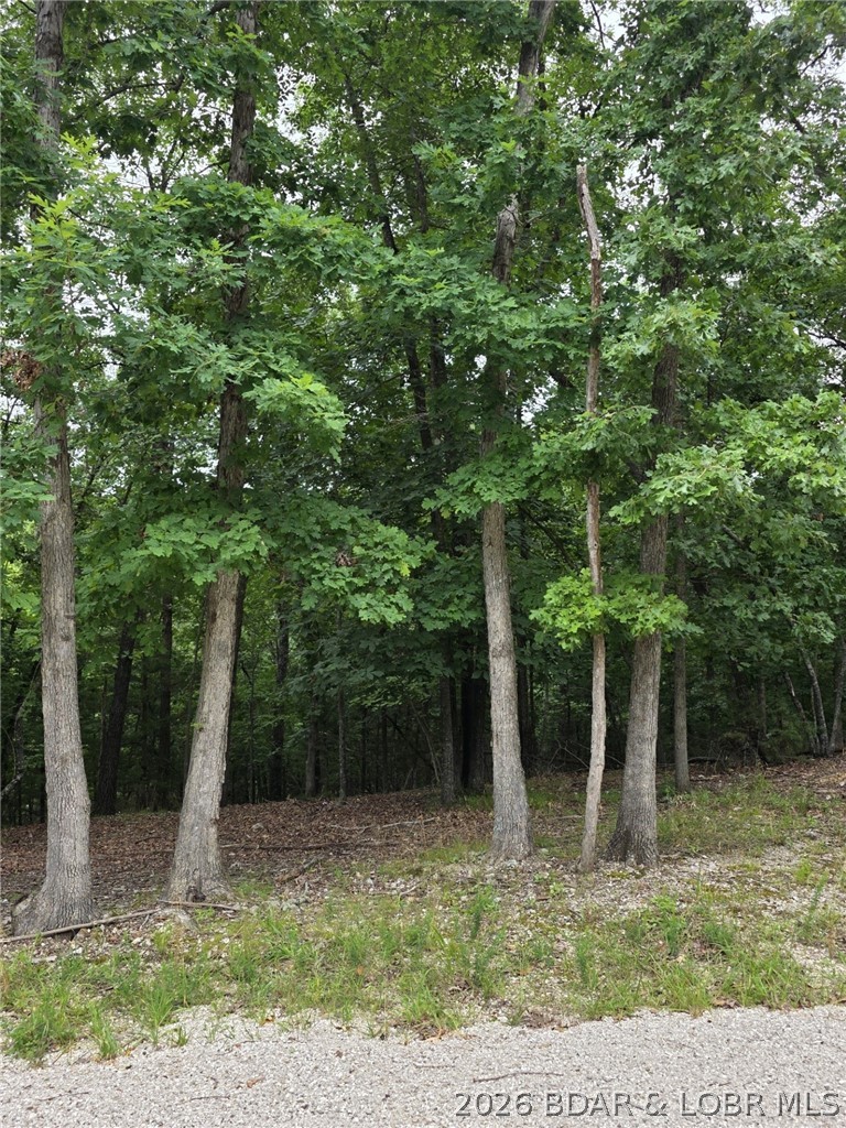 Lot 110 Terry Rd Lake Lake Ozark, MO 65049 - Photo 5 of 17