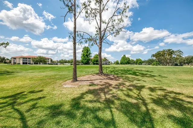 a view of a house with a big yard and large trees