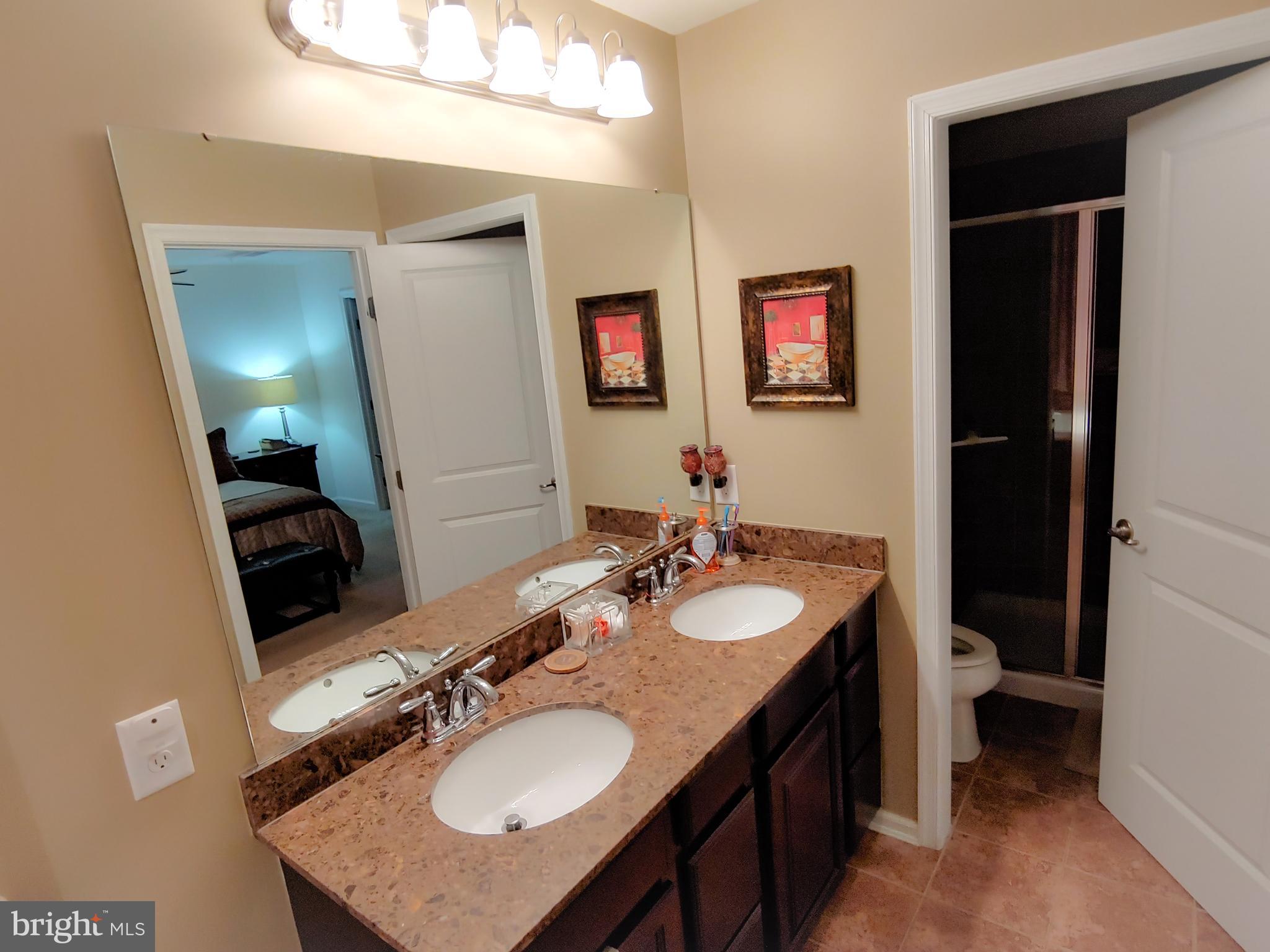 204 Ashburn Road Phoenixville, PA 19460 - Photo 29 of 42 Master Double Sink