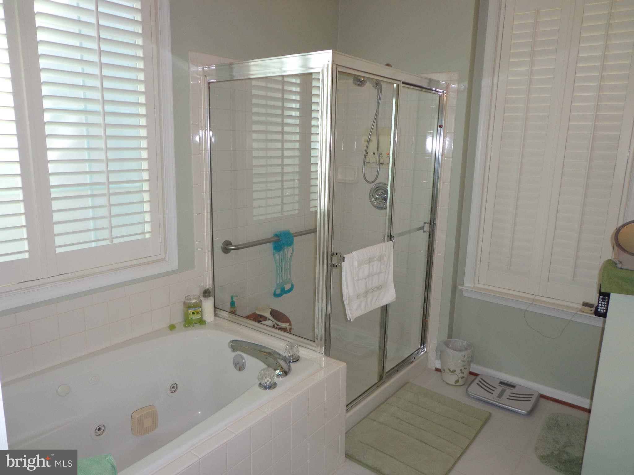 13521 Ryton Ridge Lane Gainesville, VA 20155 - Photo 11 of 27 Bath (Master)