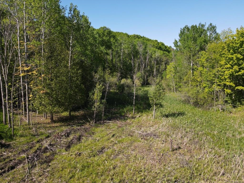 Tbd Pesek Road East Jordan, MI 49727 - Photo 20 of 28