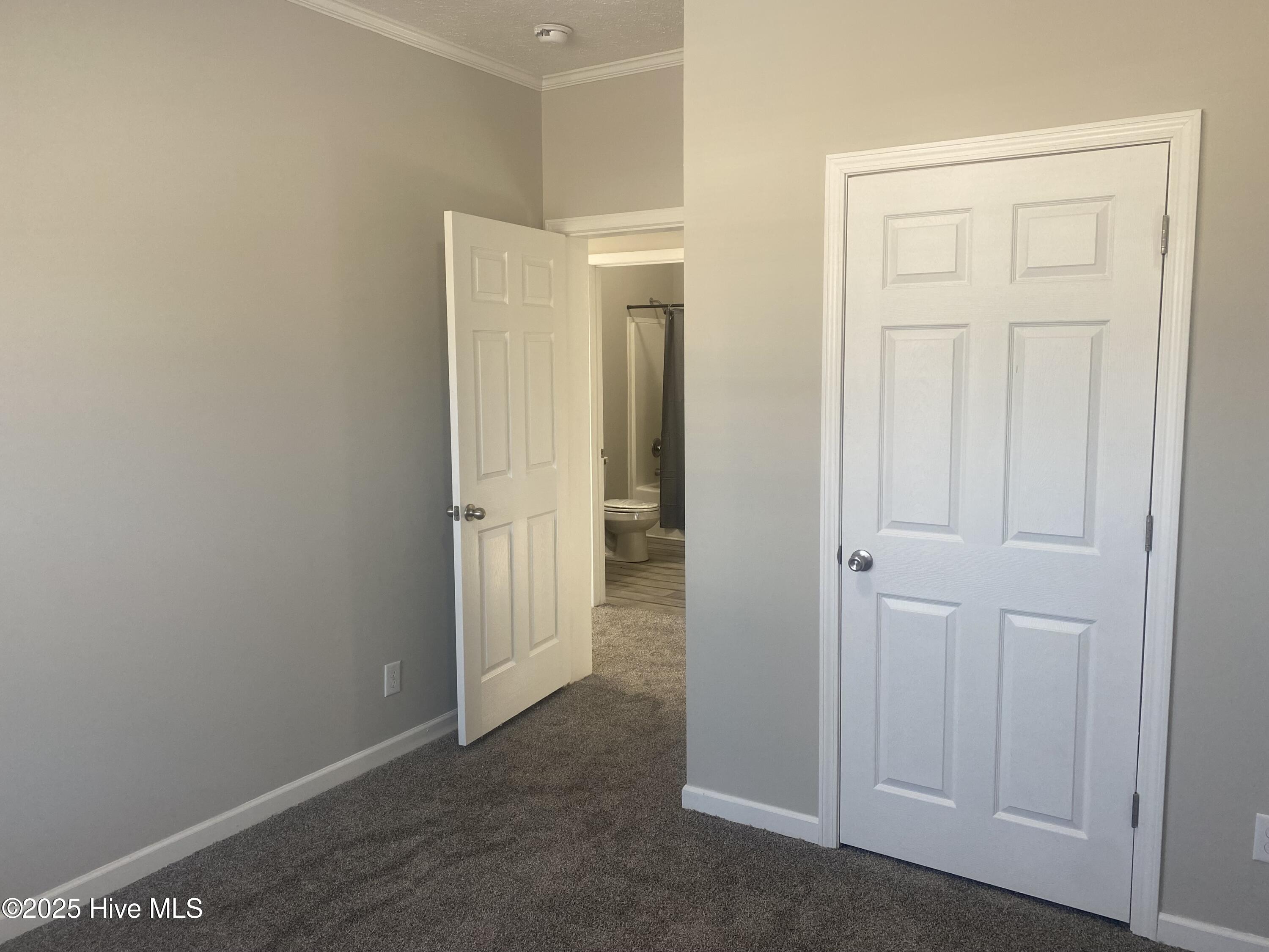 533 Pineridge Road Roanoke Rapids, NC 27870 - Photo 19 of 29 Bedroom # 2 view 2
