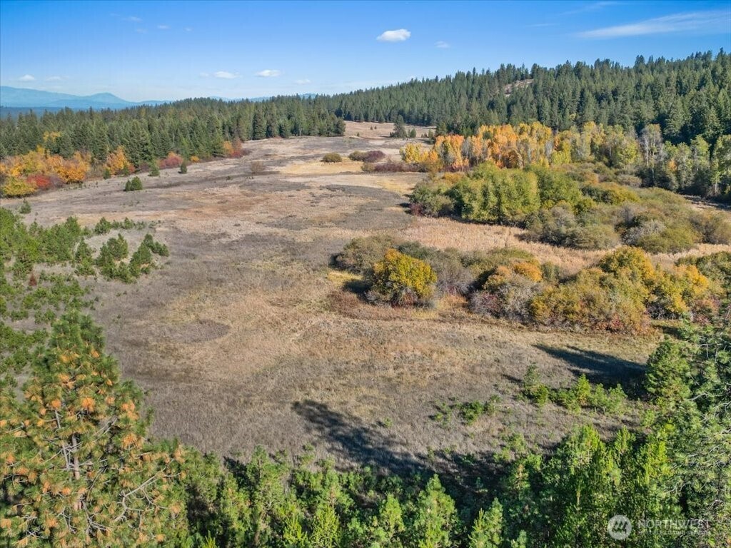 -nka North Orchard Bluff Road Chattaroy, WA 99003 - Photo 11 of 40