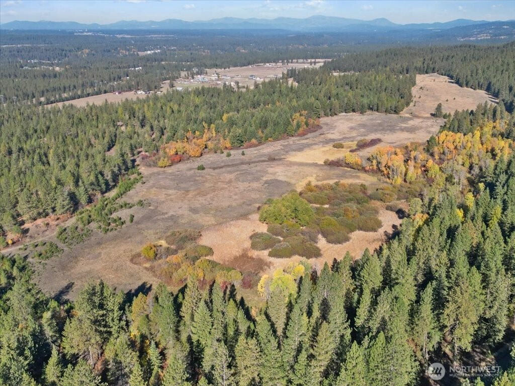 -nka North Orchard Bluff Road Chattaroy, WA 99003 - Photo 12 of 40