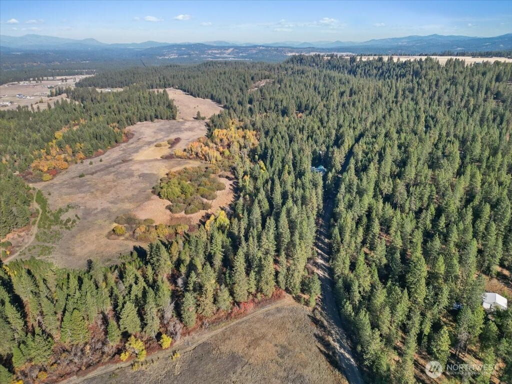-nka North Orchard Bluff Road Chattaroy, WA 99003 - Photo 13 of 40