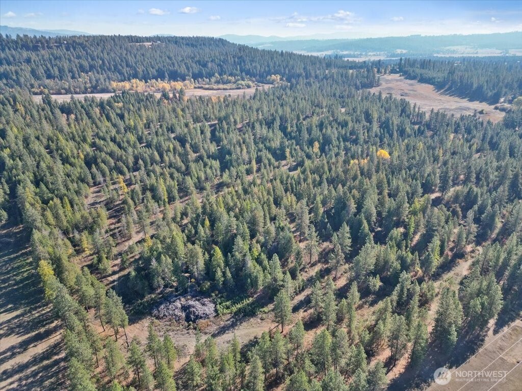 -nka North Orchard Bluff Road Chattaroy, WA 99003 - Photo 14 of 40