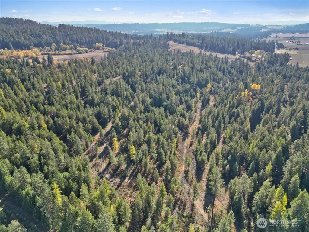 -nka North Orchard Bluff Road Chattaroy, WA 99003 - Photo 15 of 40