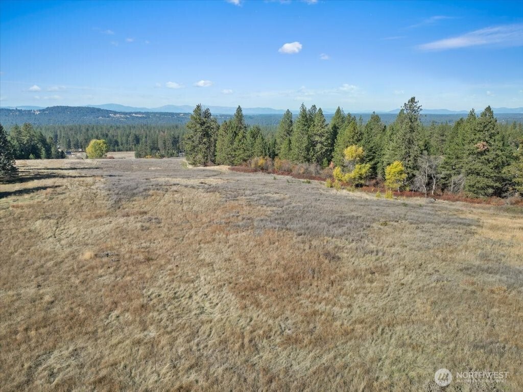-nka North Orchard Bluff Road Chattaroy, WA 99003 - Photo 16 of 40