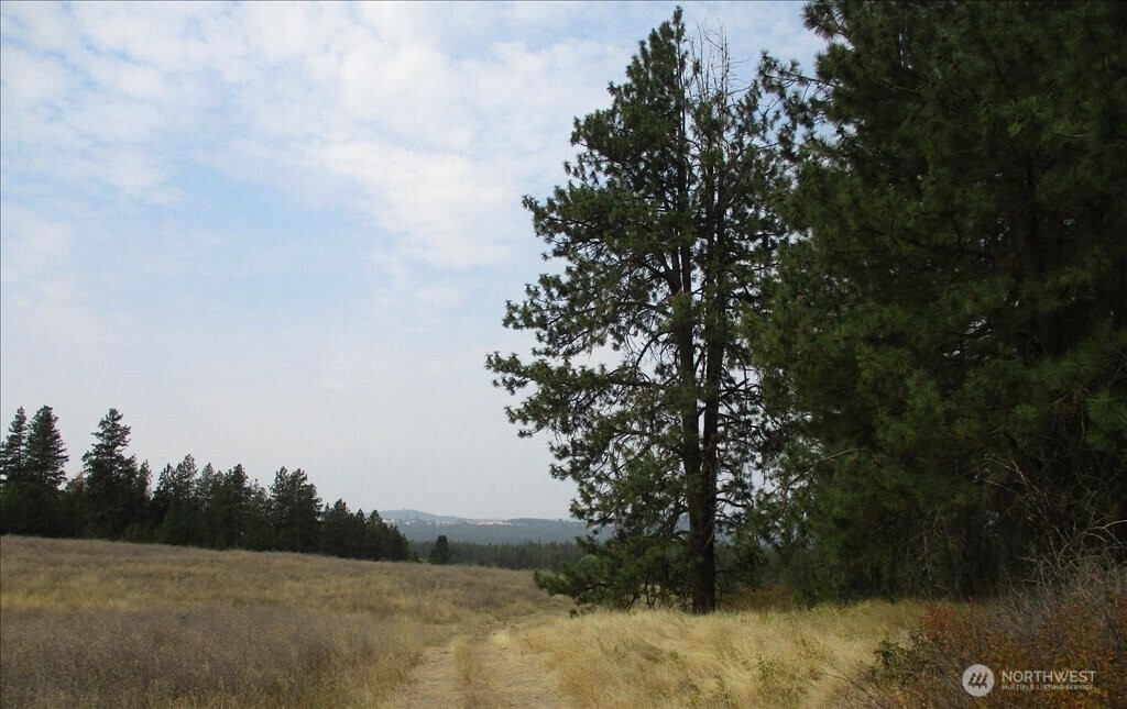 -nka North Orchard Bluff Road Chattaroy, WA 99003 - Photo 17 of 40