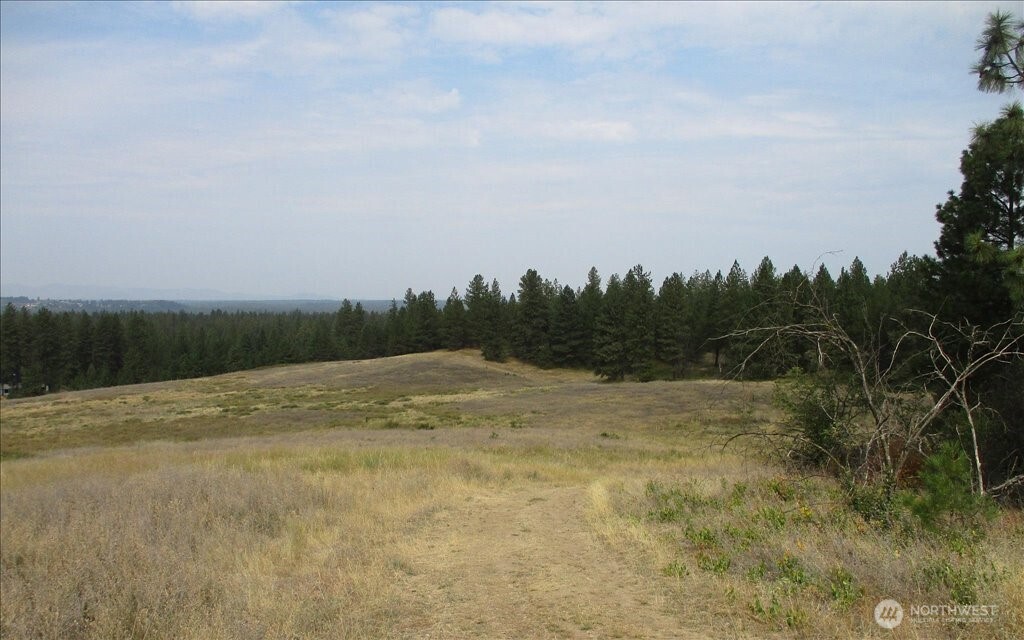 -nka North Orchard Bluff Road Chattaroy, WA 99003 - Photo 19 of 40