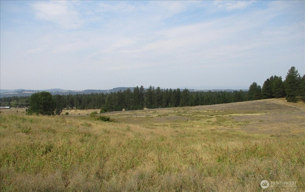 -nka North Orchard Bluff Road Chattaroy, WA 99003 - Photo 20 of 40