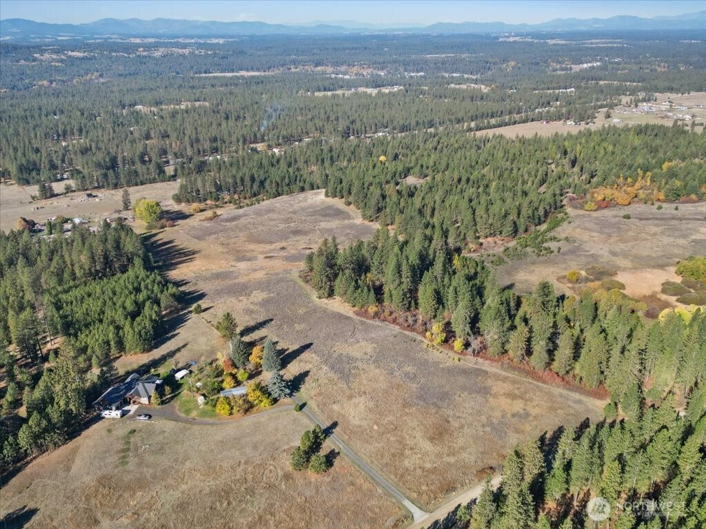 -nka North Orchard Bluff Road Chattaroy, WA 99003 - Photo 2 of 40