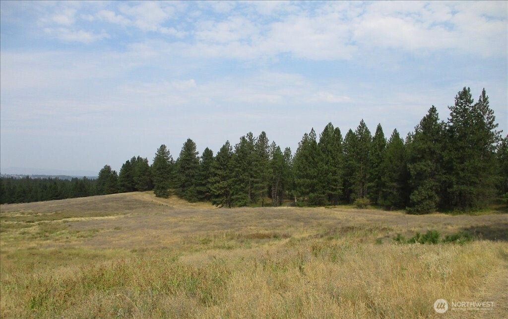 -nka North Orchard Bluff Road Chattaroy, WA 99003 - Photo 21 of 40