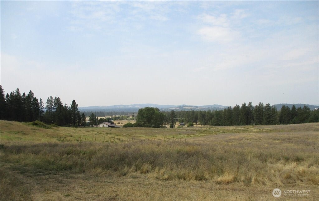 -nka North Orchard Bluff Road Chattaroy, WA 99003 - Photo 22 of 40