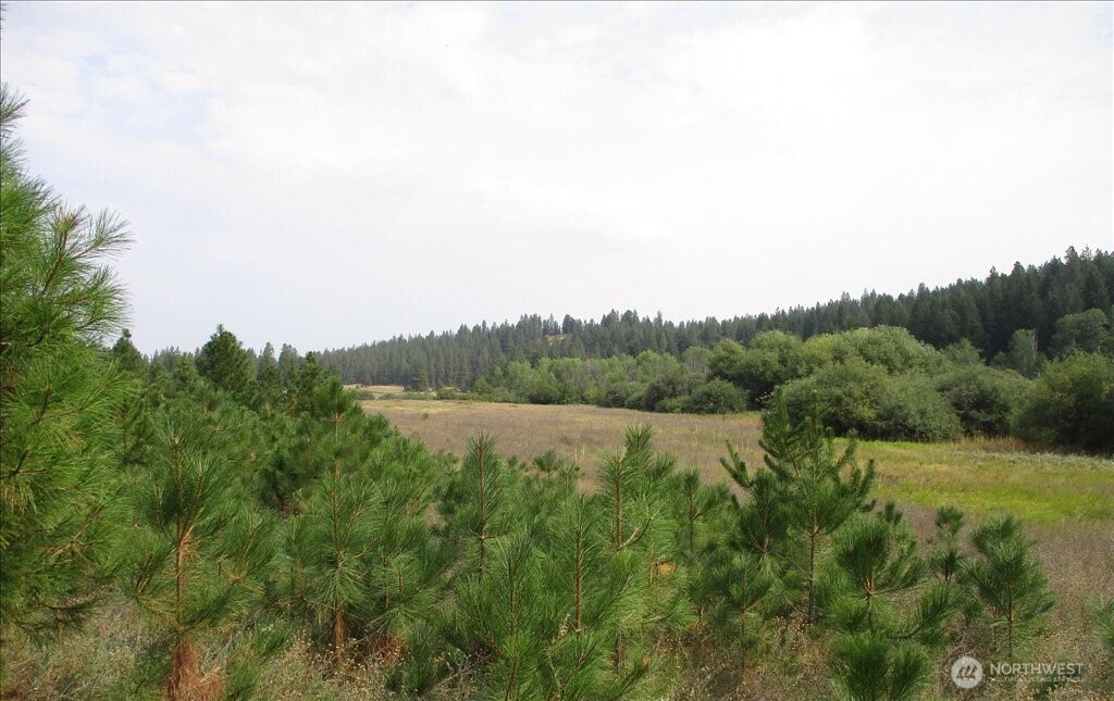 -nka North Orchard Bluff Road Chattaroy, WA 99003 - Photo 23 of 40