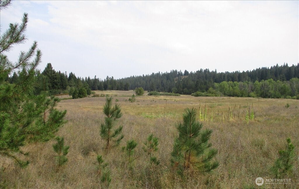 -nka North Orchard Bluff Road Chattaroy, WA 99003 - Photo 24 of 40
