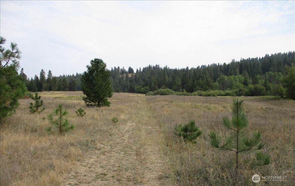 -nka North Orchard Bluff Road Chattaroy, WA 99003 - Photo 25 of 40