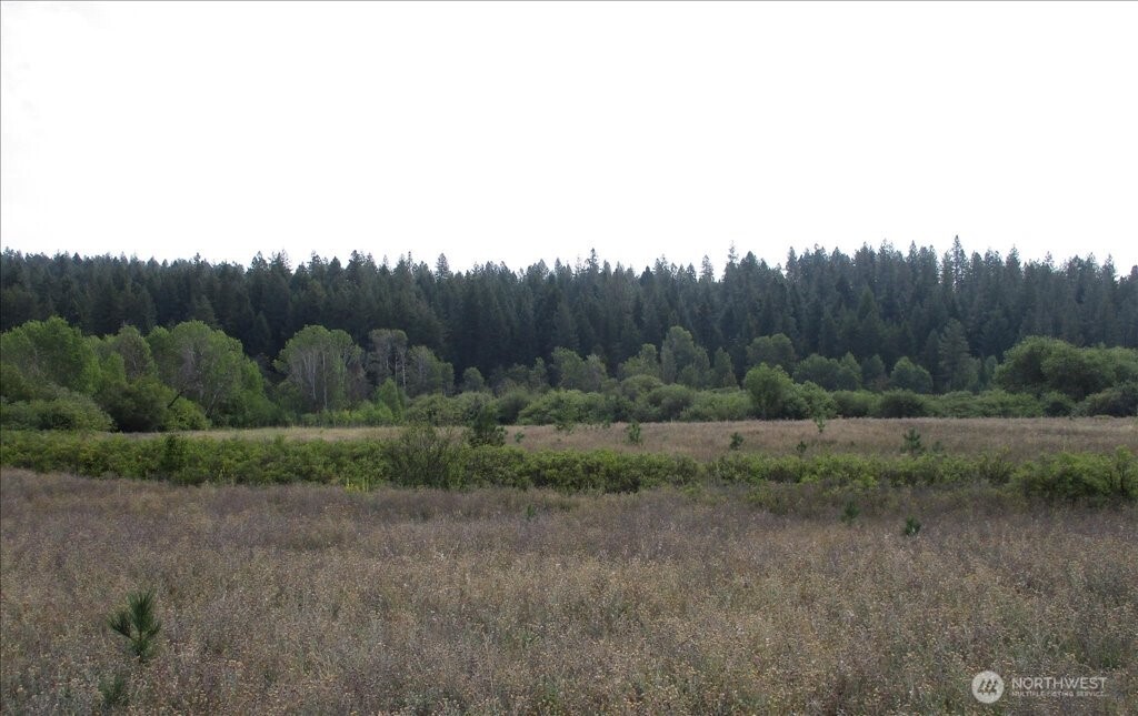 -nka North Orchard Bluff Road Chattaroy, WA 99003 - Photo 26 of 40