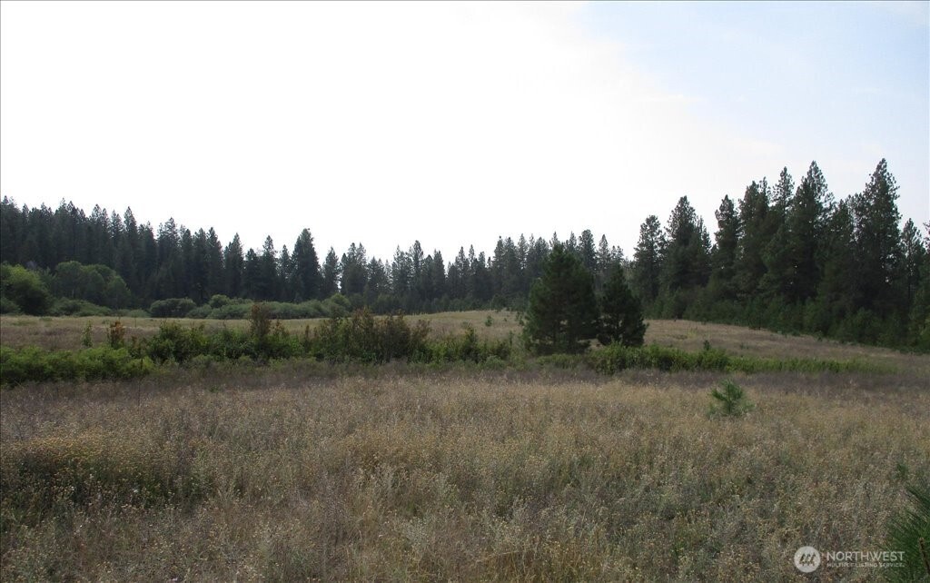 -nka North Orchard Bluff Road Chattaroy, WA 99003 - Photo 27 of 40