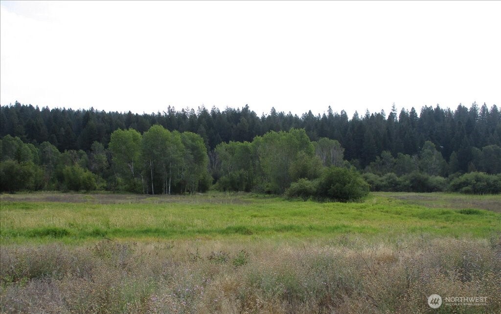 -nka North Orchard Bluff Road Chattaroy, WA 99003 - Photo 28 of 40