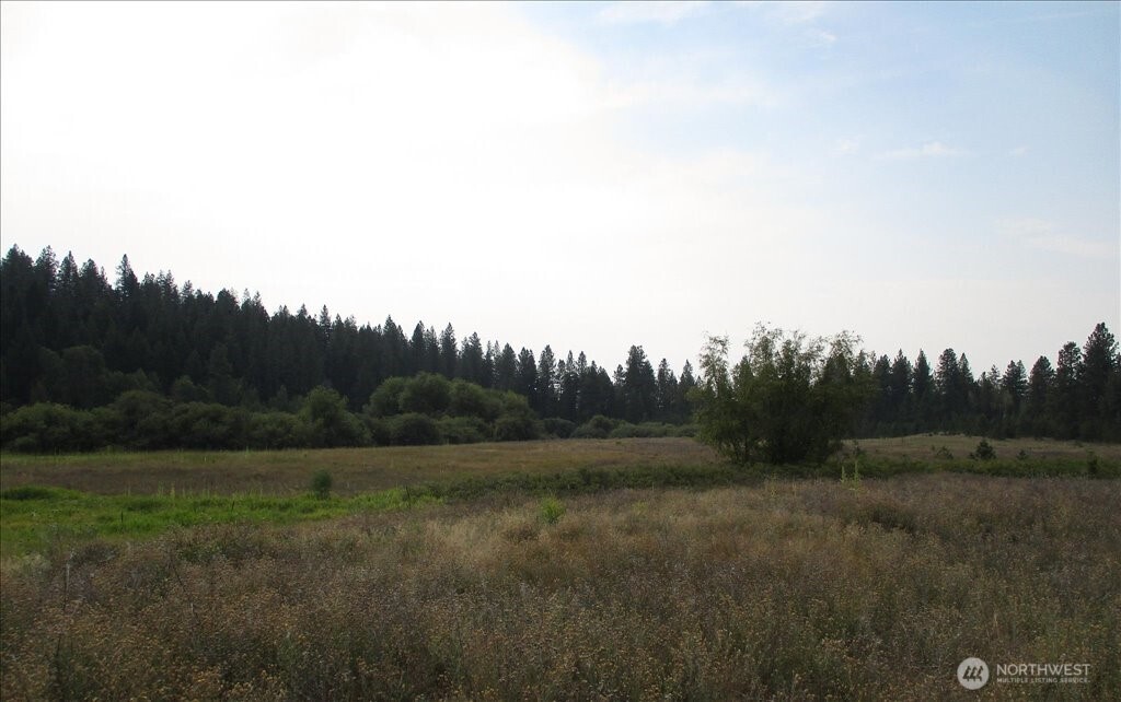 -nka North Orchard Bluff Road Chattaroy, WA 99003 - Photo 29 of 40